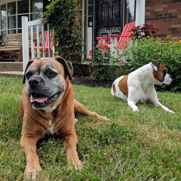 Meet your Posher, Clair - Picture 8 of 8